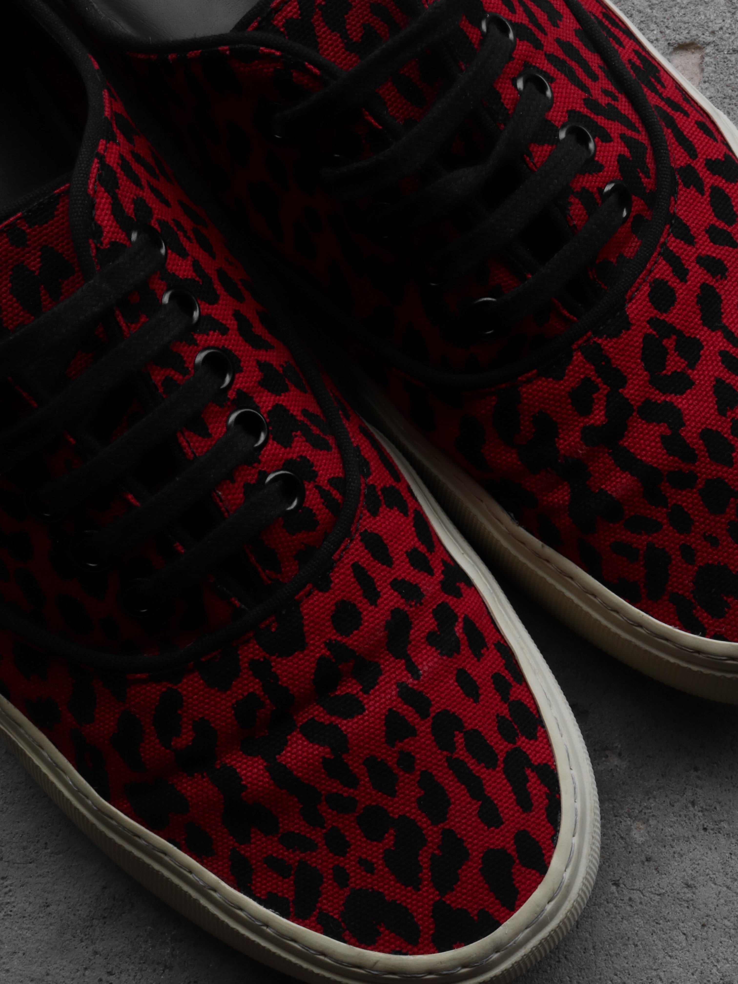 SAINT LAURENT PARIS BABYCAT VENICE LOW SNEAKERS