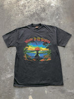 Load image into Gallery viewer, ALLMAN BROTHERS BAND &quot;WHERE IT ALL BEGINS&quot; TEE- 1994 - LOST ENDS FOUND
