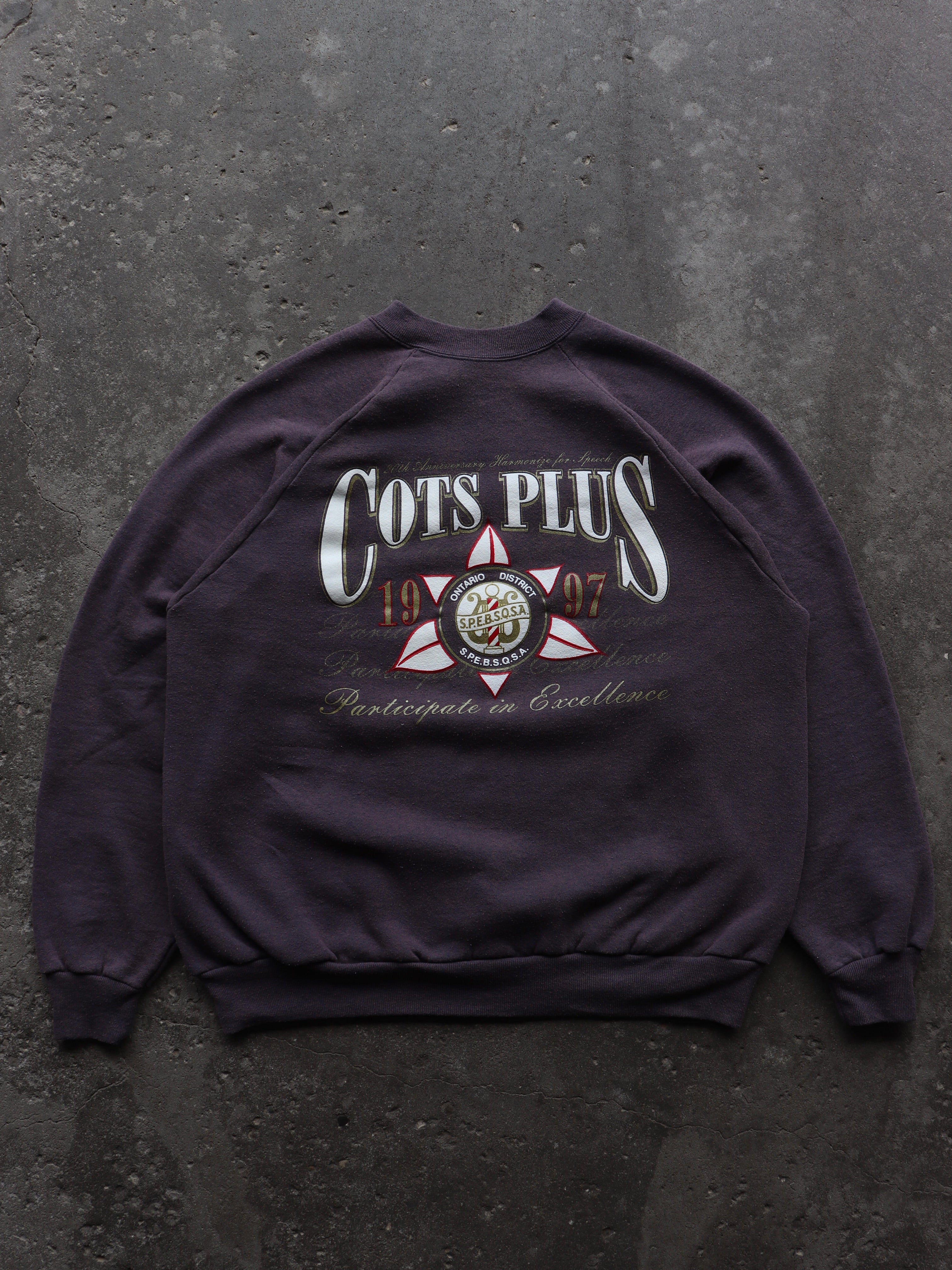 SUN FADED RAGLAN COLLEGIATE CREWNECK - 1990S - LOST ENDS FOUND