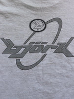 Load image into Gallery viewer, BJORK &quot;DEBUT&quot; TEE - 1990S - LOST ENDS FOUND
